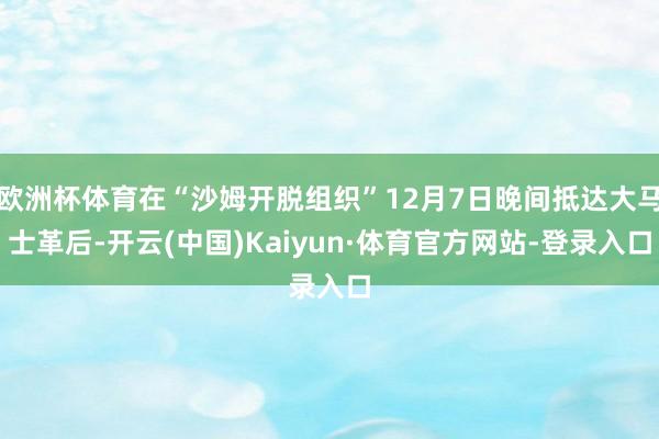 欧洲杯体育在“沙姆开脱组织”12月7日晚间抵达大马士革后-开云(中国)Kaiyun·体育官方网站-登录入口